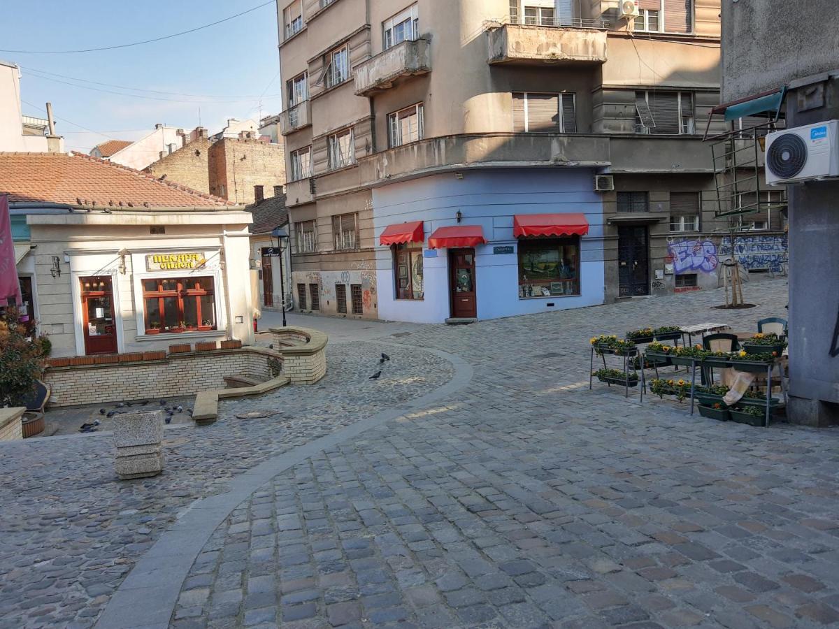 Apartment Africa Beograd Eksteriør bilde